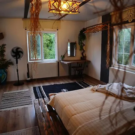 The Serenity House Nar